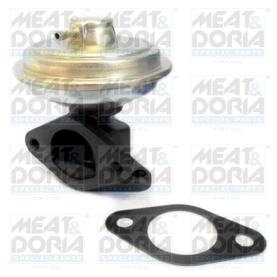 EGR Valve